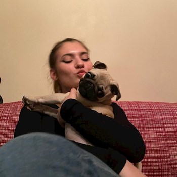 thumbnail petsitter București or pet nanny for dogs cats