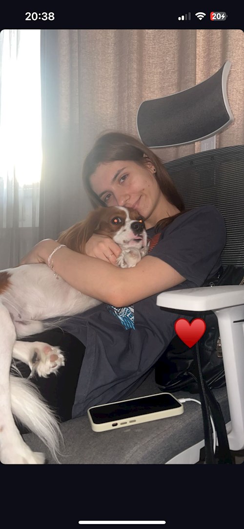 Andreea- petsitter București or Pet nanny for dogs cats