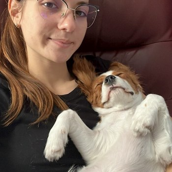 thumbnail petsitter București or pet nanny for dogs cats