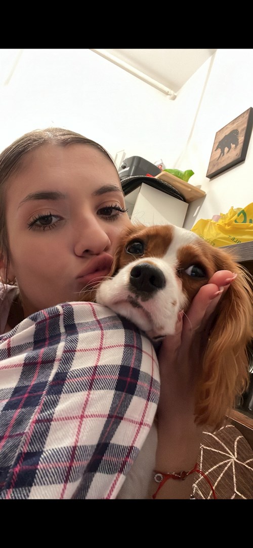 Andreea- petsitter București or Pet nanny for dogs cats