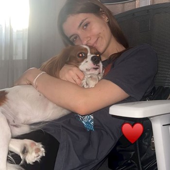 thumbnail petsitter București or pet nanny for dogs cats