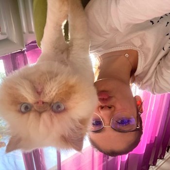 thumbnail petsitter București or pet nanny for dogs cats