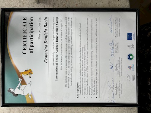 Daniela- petsitter Cluj-Napoca sau Bonă pentru animale pentru câini pisici