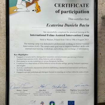 thumbnail petsitter Cluj-Napoca sau bonă pentru animale pentru câini pisici