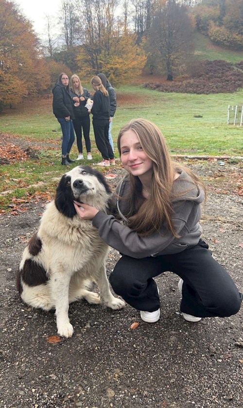 Nichita- petsitter Oradea or Pet nanny for dogs cats