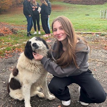 thumbnail petsitter Oradea or pet nanny for dogs cats