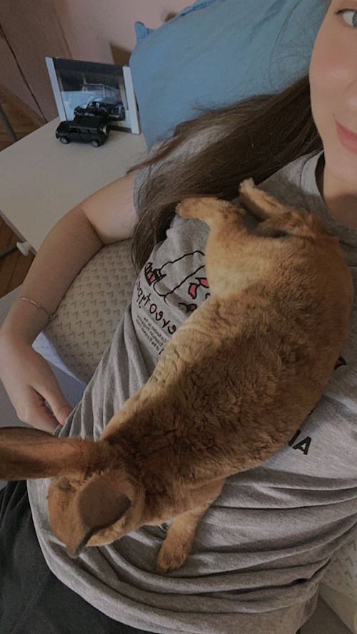 Nichita- petsitter Oradea or Pet nanny for dogs cats