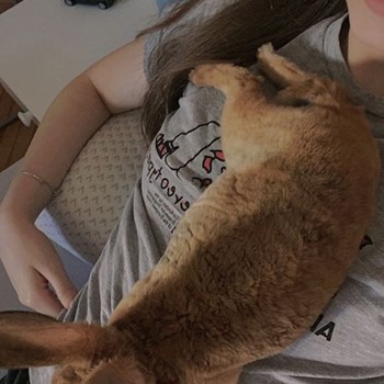 thumbnail petsitter Oradea or pet nanny for dogs cats