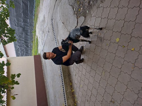 Razvan- petsitter Cernica sau Bonă pentru animale pentru