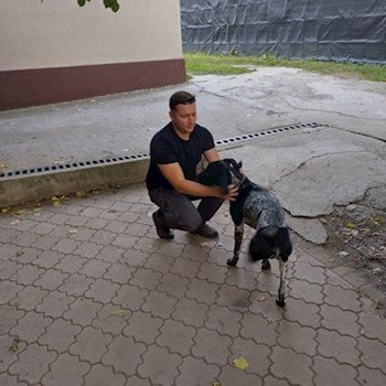 thumbnail petsitter Cernica sau bonă pentru animale pentru