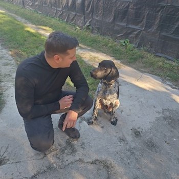 thumbnail petsitter Cernica sau bonă pentru animale pentru