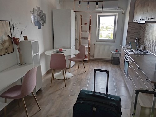 Dumitru- petsitter Constanța sau Bonă pentru animale pentru pisici