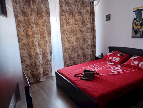 Dumitru- petsitter Constanța sau Bonă pentru animale pentru pisici