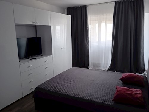 Dumitru- petsitter Constanța sau Bonă pentru animale pentru pisici