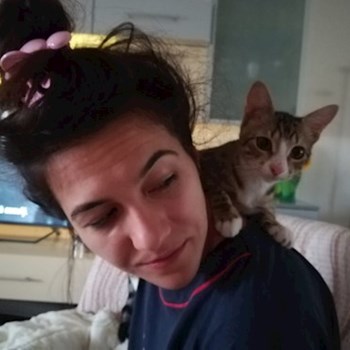 thumbnail petsitter București or pet nanny for dogs cats