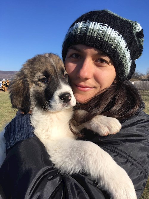 Iolanda- petsitter București or Pet nanny for dogs cats