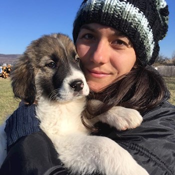 thumbnail petsitter București or pet nanny for dogs cats