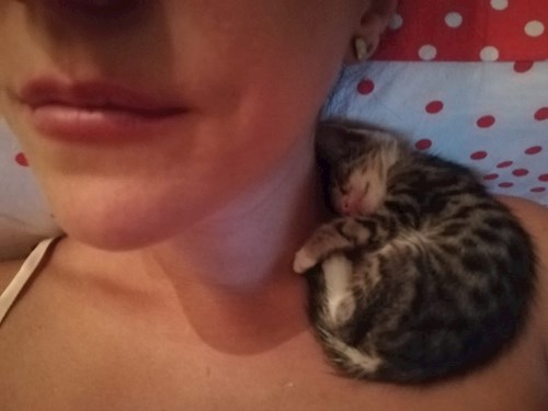 Iolanda- petsitter București or Pet nanny for dogs cats