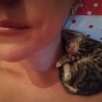 thumbnail petsitter București or pet nanny for dogs cats