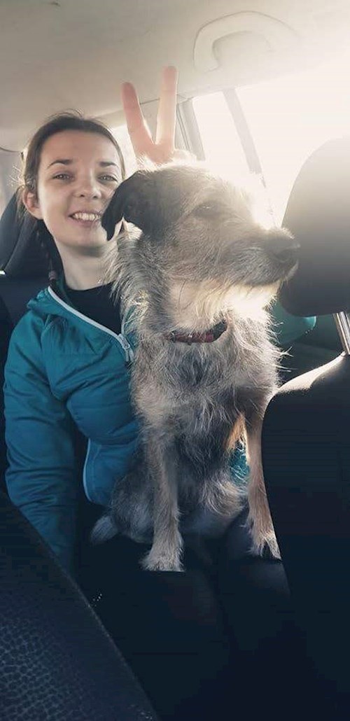 andrada- petsitter Timișoara or Pet nanny for dogs cats