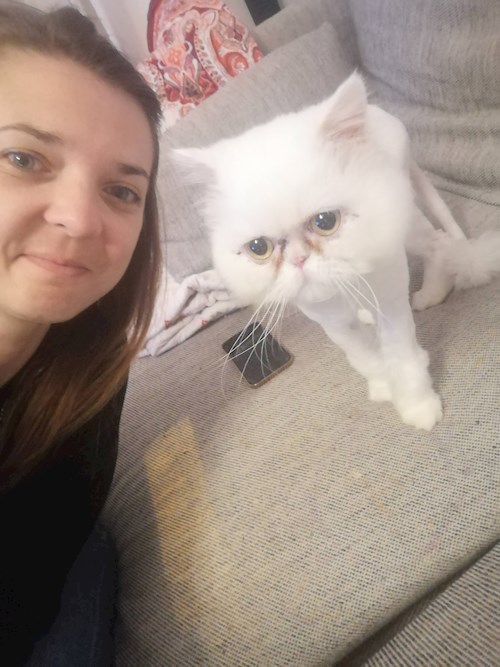 andrada- petsitter Timișoara or Pet nanny for dogs cats