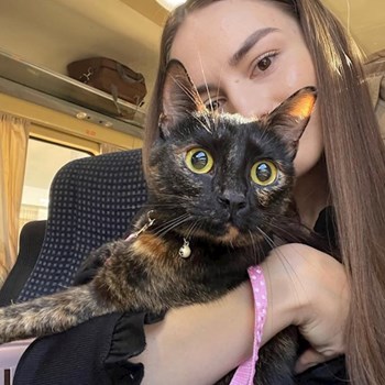 thumbnail petsitter București sau bonă pentru animale pentru câini pisici