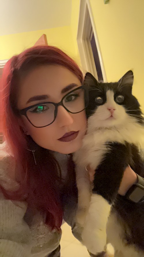 Andreea- petsitter București or Pet nanny for cats