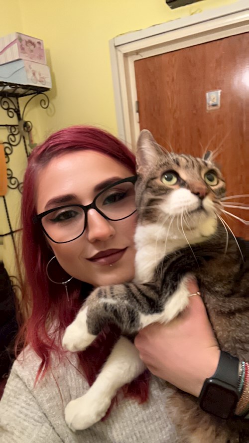 Andreea- petsitter București or Pet nanny for cats