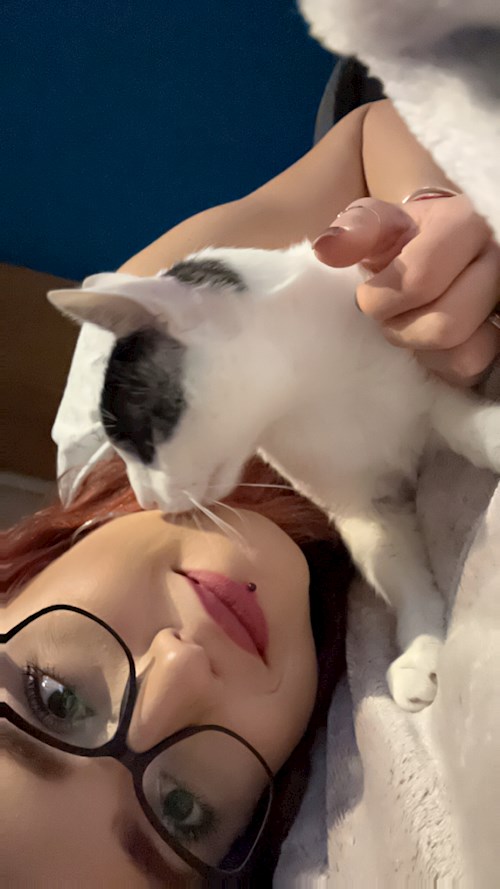 Andreea- petsitter București or Pet nanny for cats