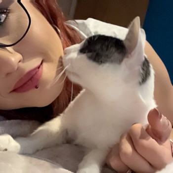 thumbnail petsitter București or pet nanny for cats