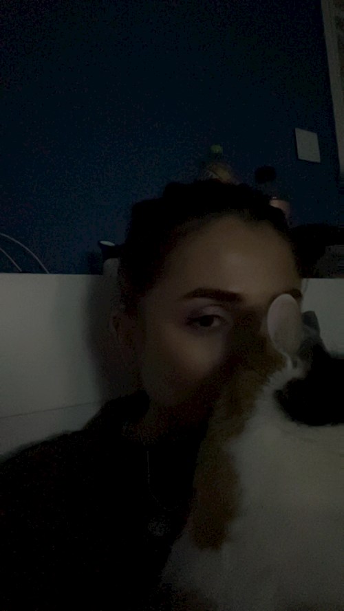 Andreea- petsitter București or Pet nanny for cats