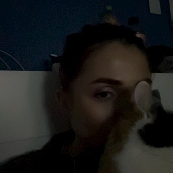 thumbnail petsitter București or pet nanny for cats