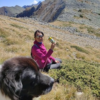 thumbnail petsitter București or pet nanny for dogs cats