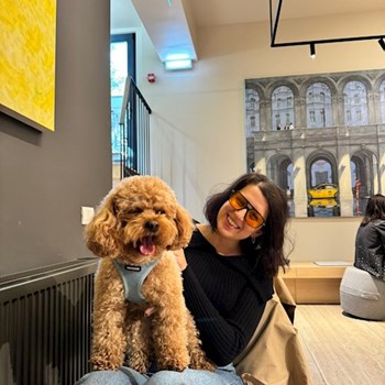 thumbnail petsitter București or pet nanny for dogs cats