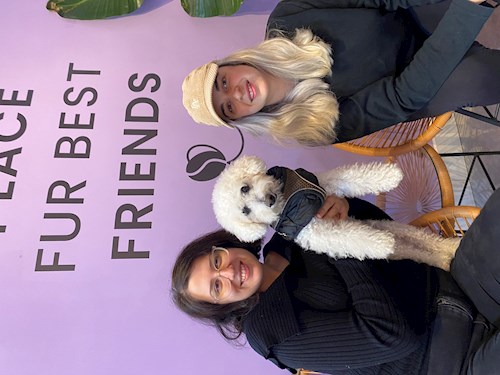 Antonia- petsitter București or Pet nanny for dogs cats