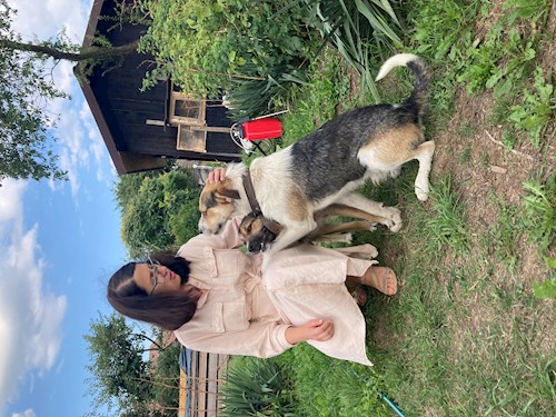 Antonia- petsitter București or Pet nanny for dogs cats