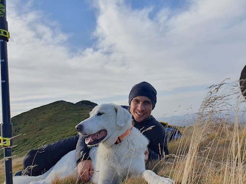 Alex- petsitter Cluj-Napoca or Pet nanny for dogs