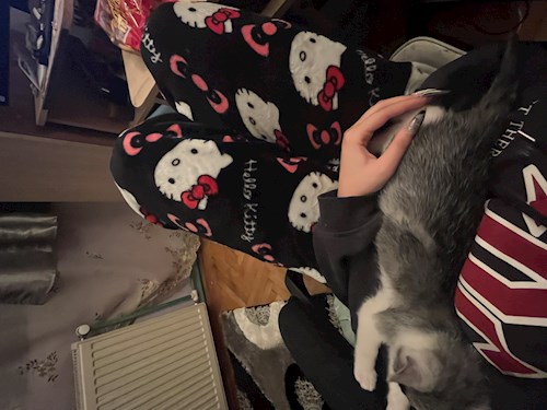 Mora- petsitter Cluj-Napoca or Pet nanny for dogs cats