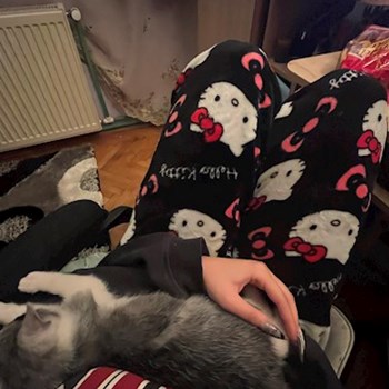 thumbnail petsitter Cluj-Napoca or pet nanny for dogs cats