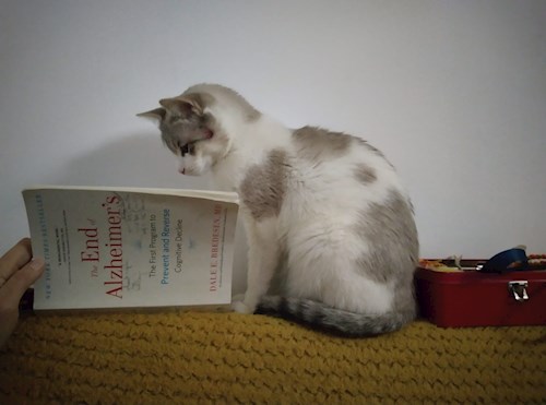 Andra-Sorina- petsitter Cluj-Napoca or Pet nanny for cats