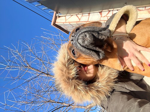 Mădălina- petsitter București sau Bonă pentru animale pentru câini pisici