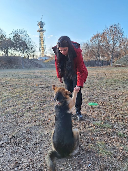 Cristina- petsitter Cluj-Napoca or Pet nanny for dogs cats