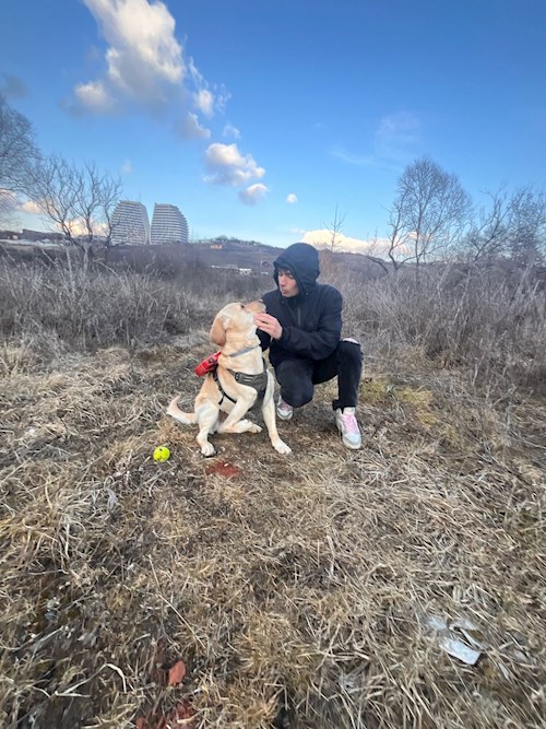 Cristea- petsitter Chiajna sau Bonă pentru animale pentru câini pisici