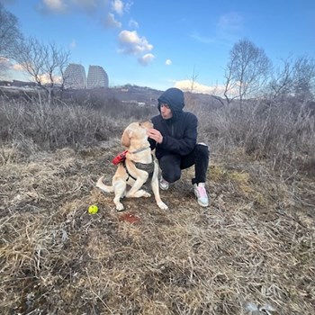 thumbnail petsitter Chiajna sau bonă pentru animale pentru câini pisici