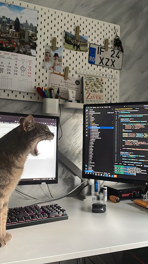 Cristea- petsitter Chiajna sau Bonă pentru animale pentru câini pisici