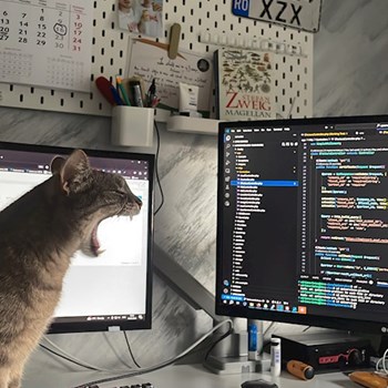 thumbnail petsitter Chiajna sau bonă pentru animale pentru câini pisici