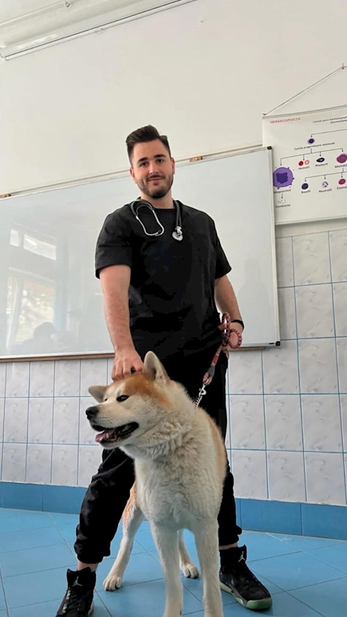 Iliescu- petsitter Cluj-Napoca vagy Állat szitter a kutyák