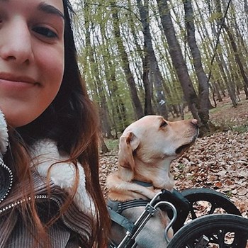 thumbnail petsitter Cluj-Napoca sau bonă pentru animale pentru câini pisici