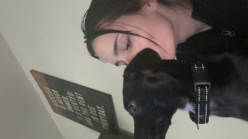 Popescu- petsitter Timișoara sau Bonă pentru animale pentru câini pisici