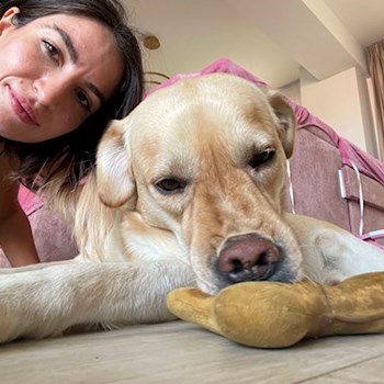 thumbnail petsitter București sau bonă pentru animale pentru